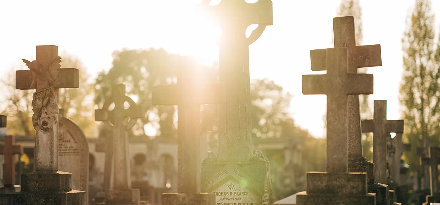 Gravestones in autumn light