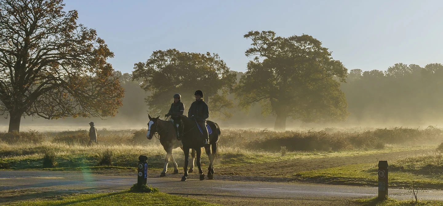 Horse riders in Richmond Park
