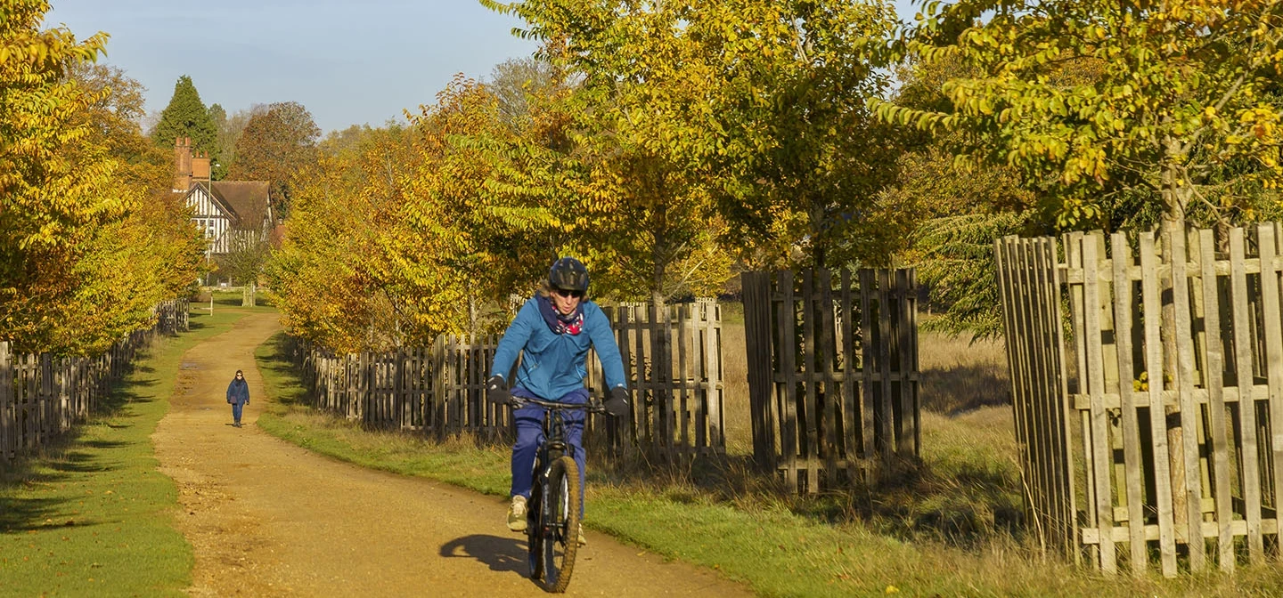 Cyclist on the Tamsin Trail