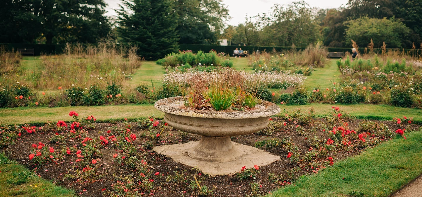 Greenwich Rose Garden in autumn