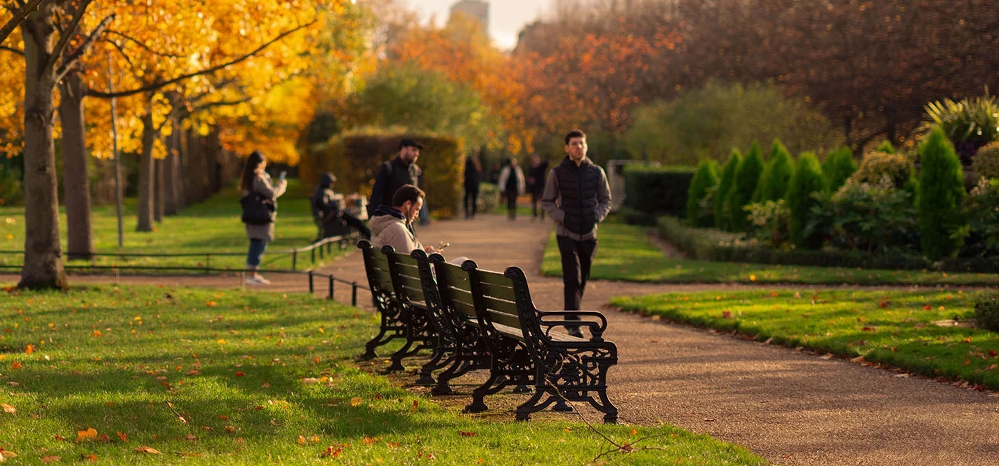 The Avenue Gardens