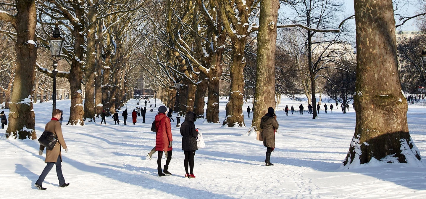 People walking through the park in the snow