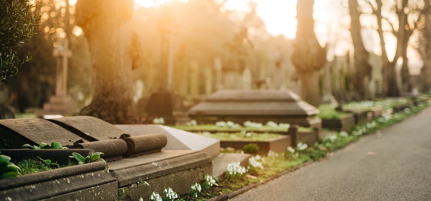 Snowdrops by the Central Avenue graves