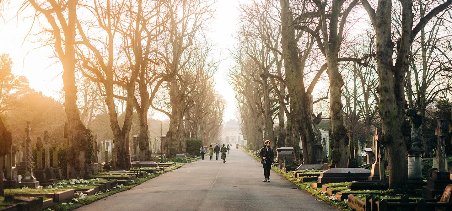 Central Avenue in winter