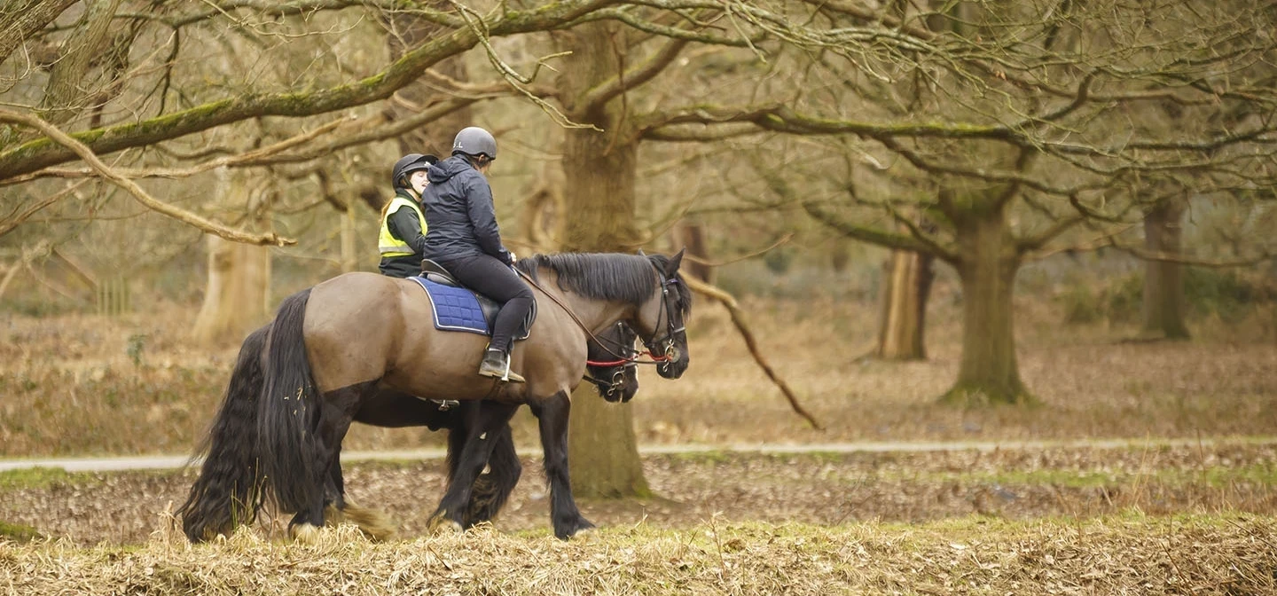 Horse riders among the winter trees