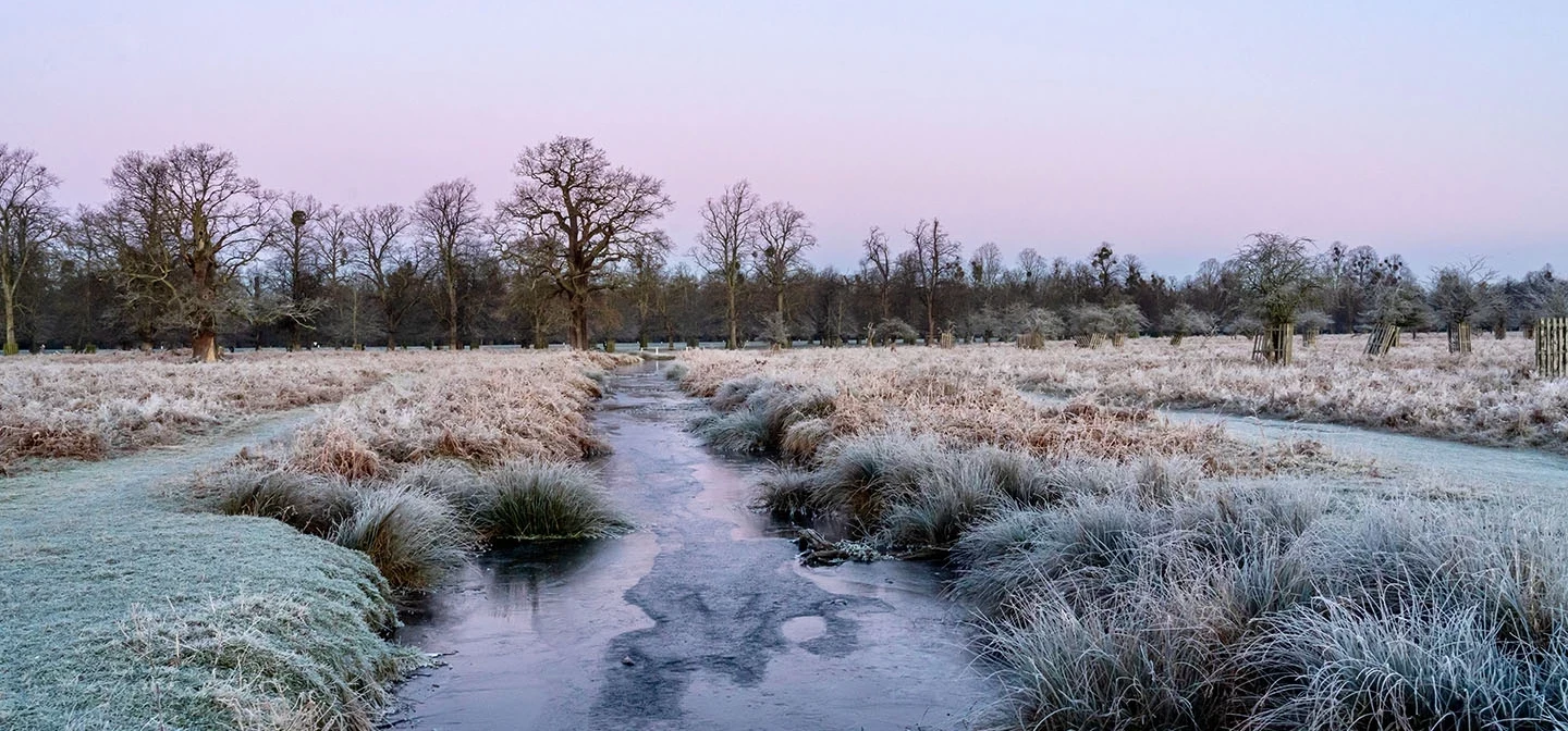 Frosty banks of Longford River