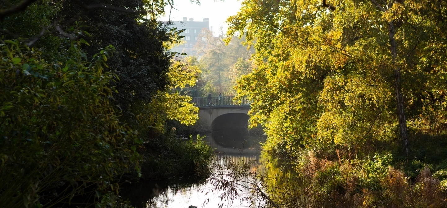A bridge over water with autumn trees on either side