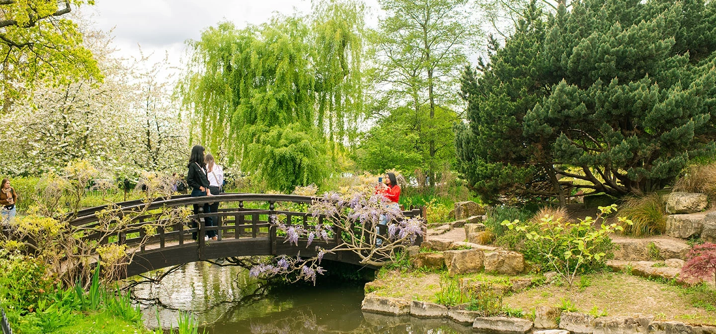 A small wooden bridge across a stream in the Japanese Garden