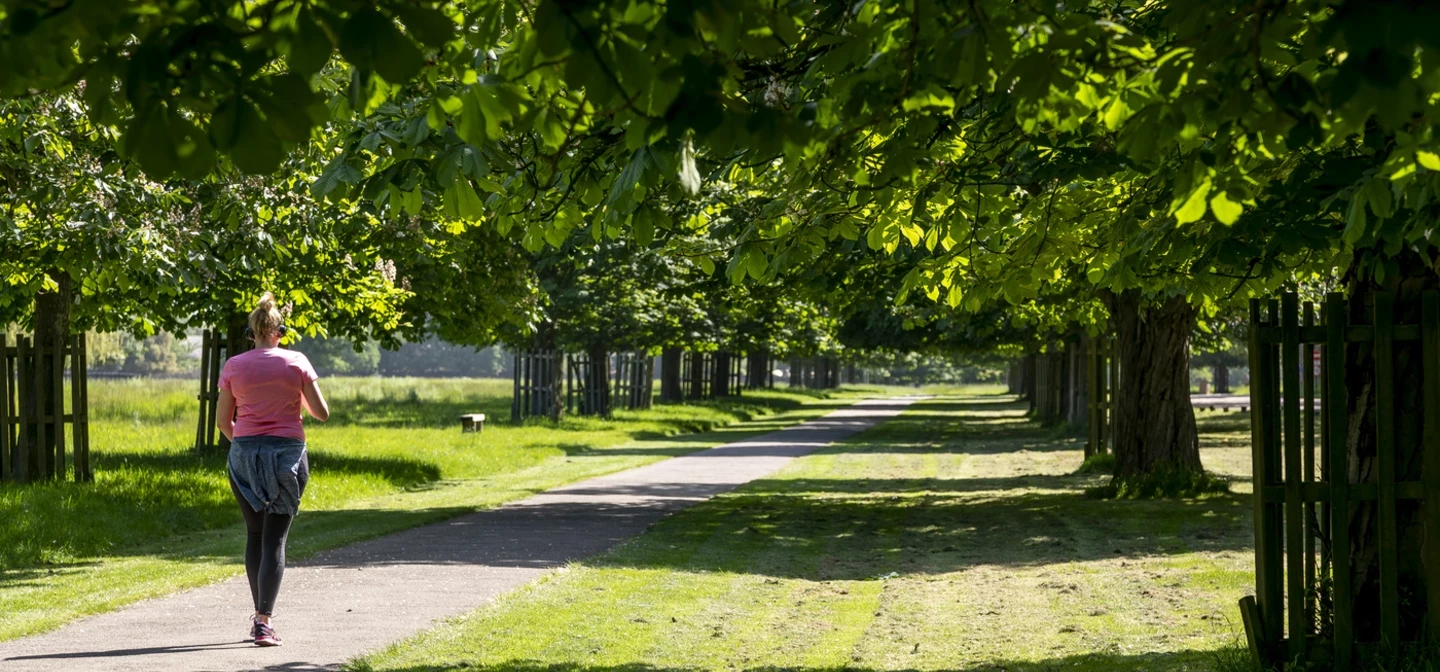 Bushy Park Spring Hero Things to do