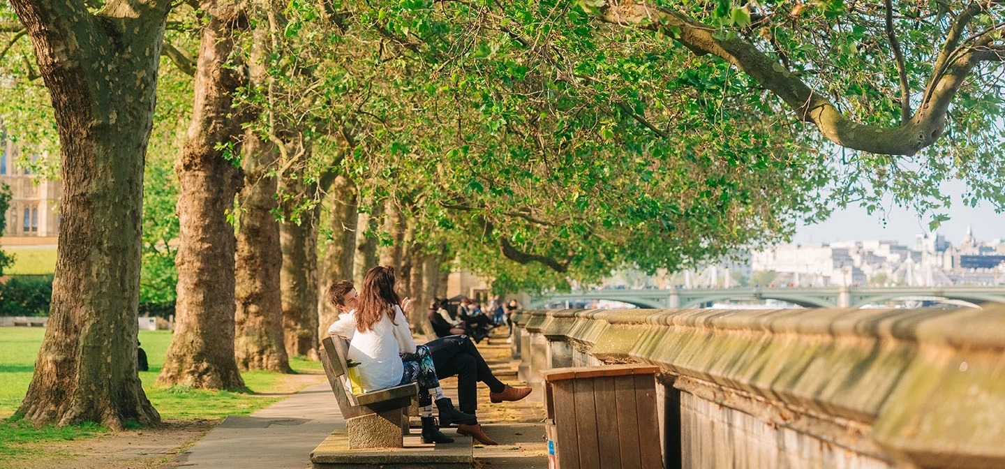 Riverside benches in Victoria Tower Gardens