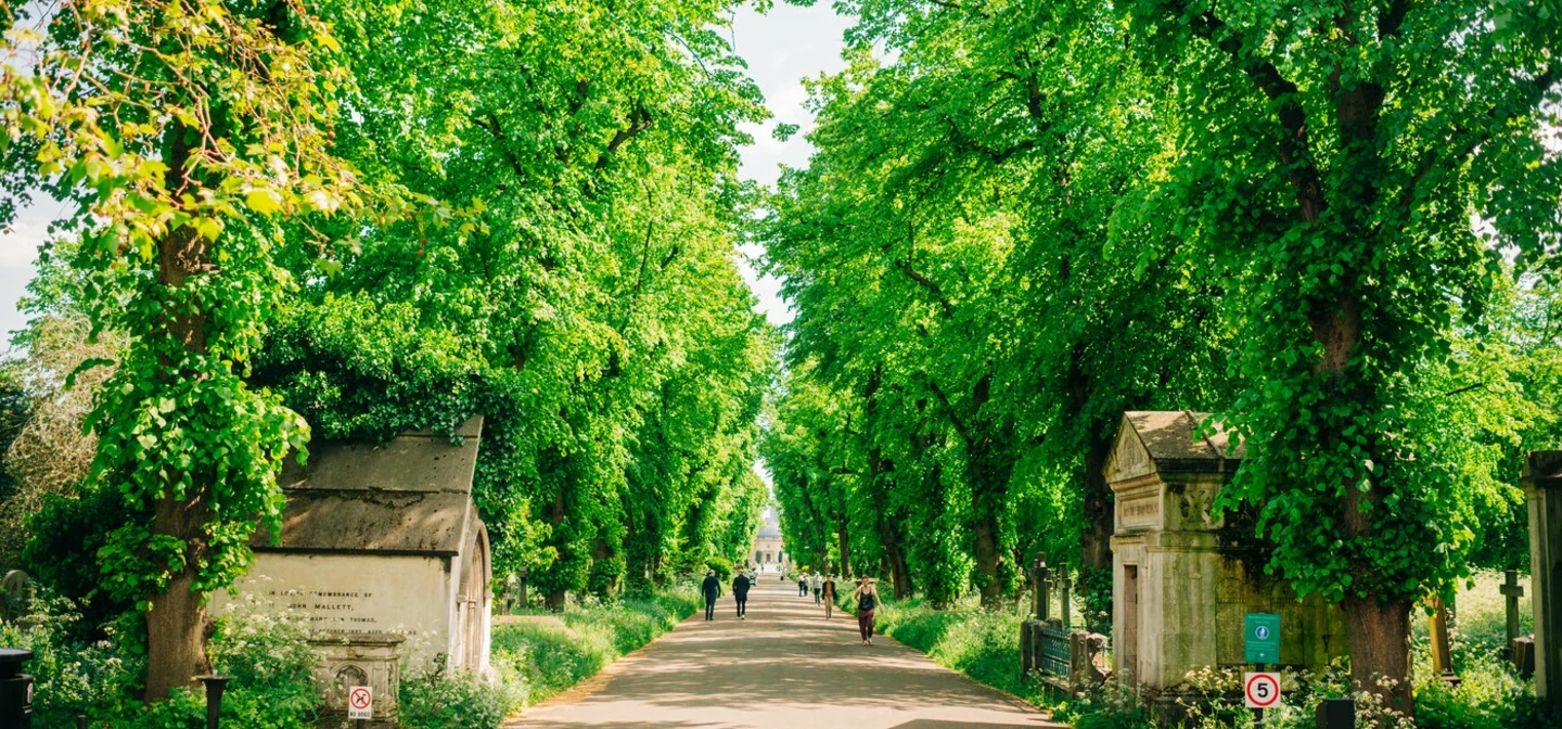 Image of lime tree line avenue with the Brompton Capel at the end