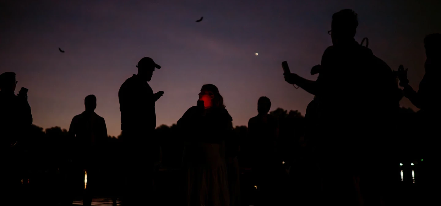 Night time image of group with bat detectors
