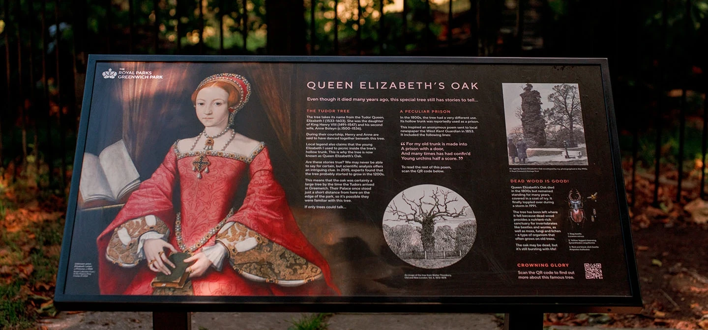 Information sign for Queen Elizabeth's Oak
