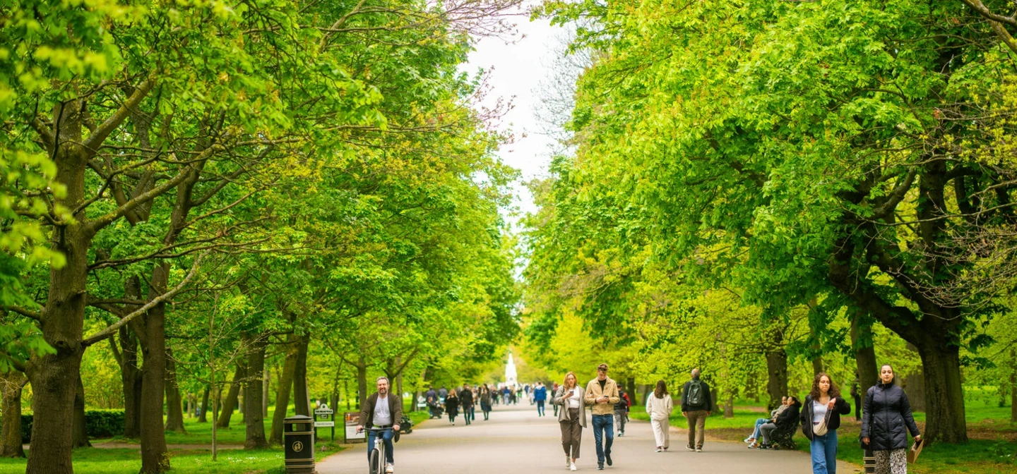 Trees with fresh green spring growth, people walking along the broad walk