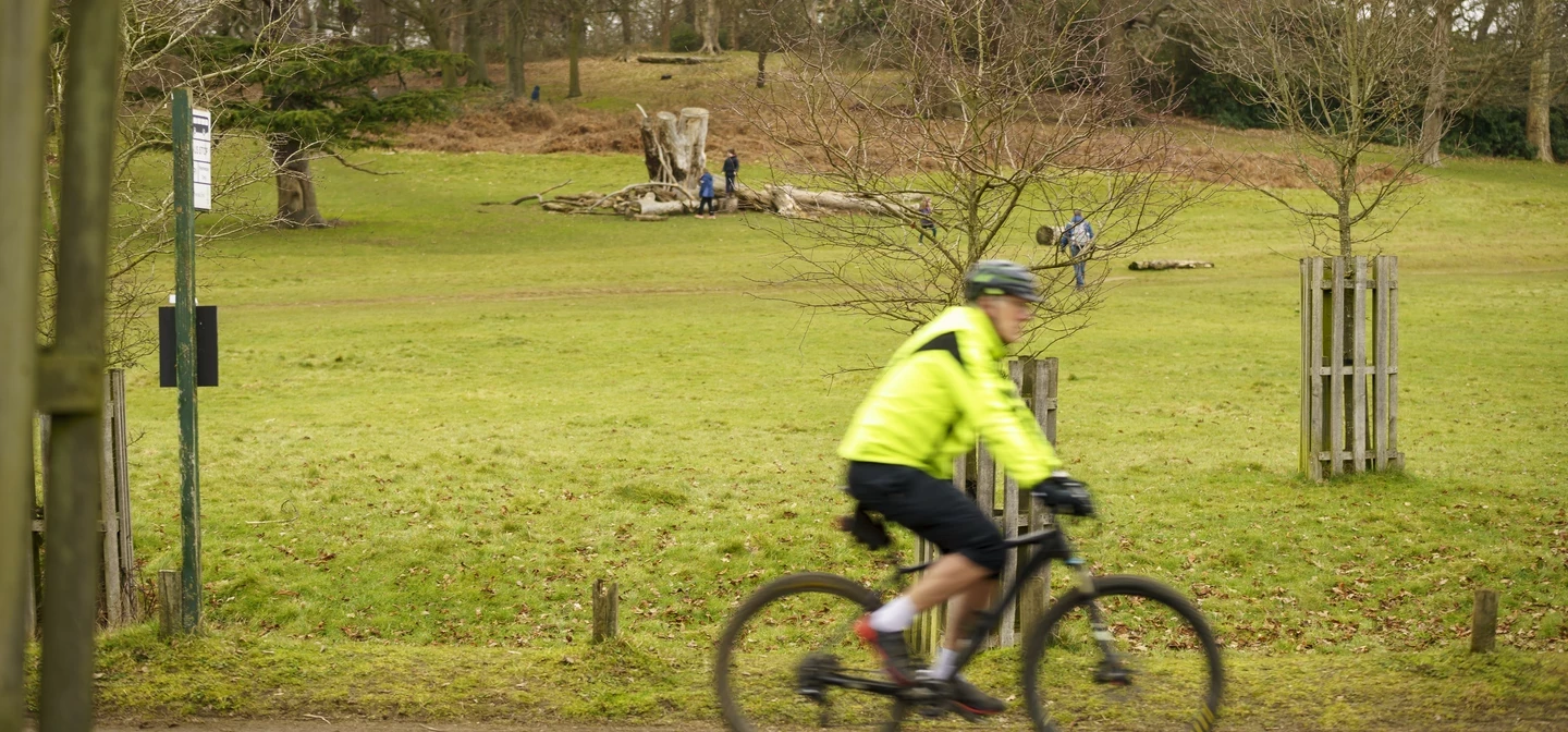 A cyclist cycles through a Royal Park with a grassy hill and trees in the background