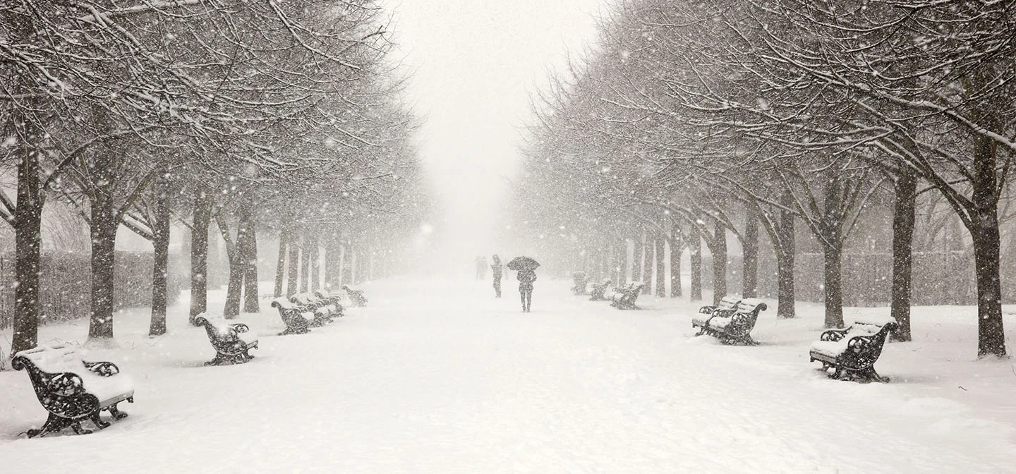 Broad Walk in the snow