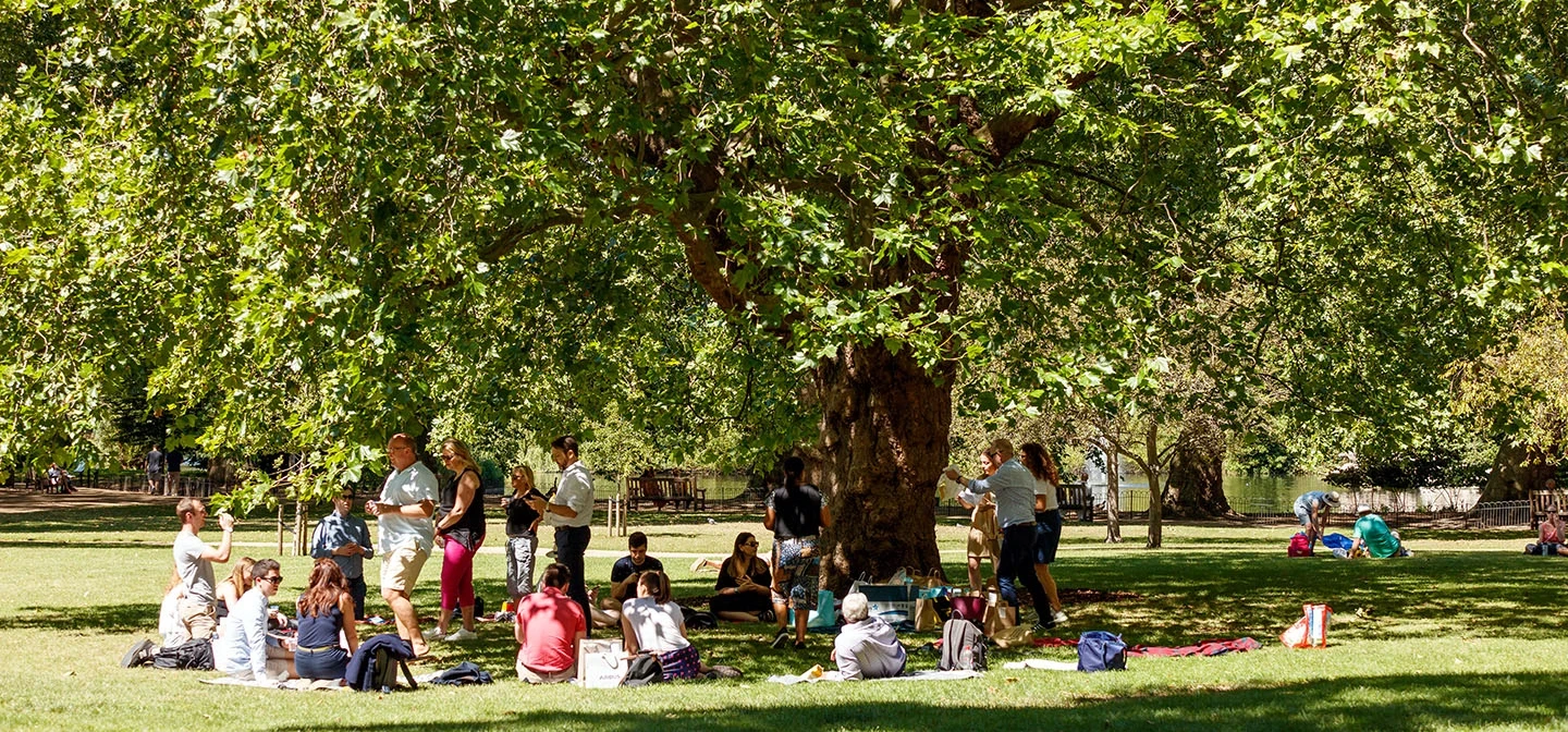 People enjoying a picnic