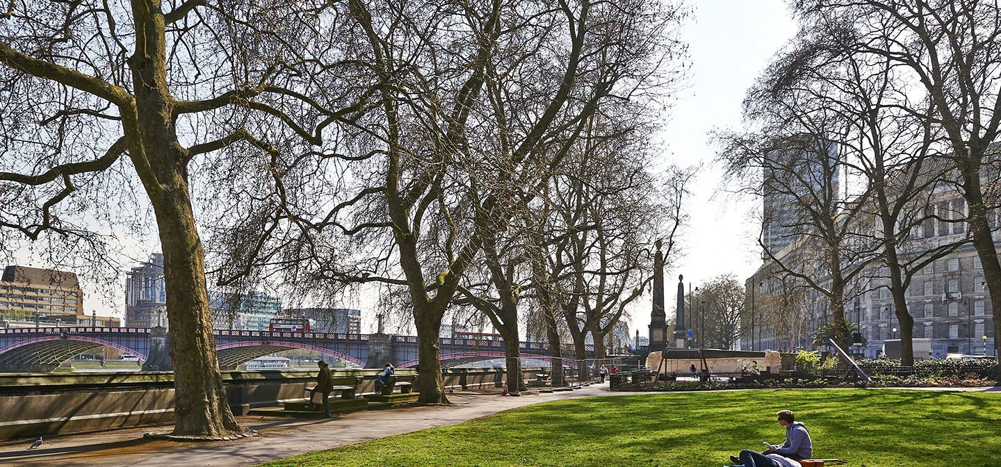 Person resting on the grass in winter