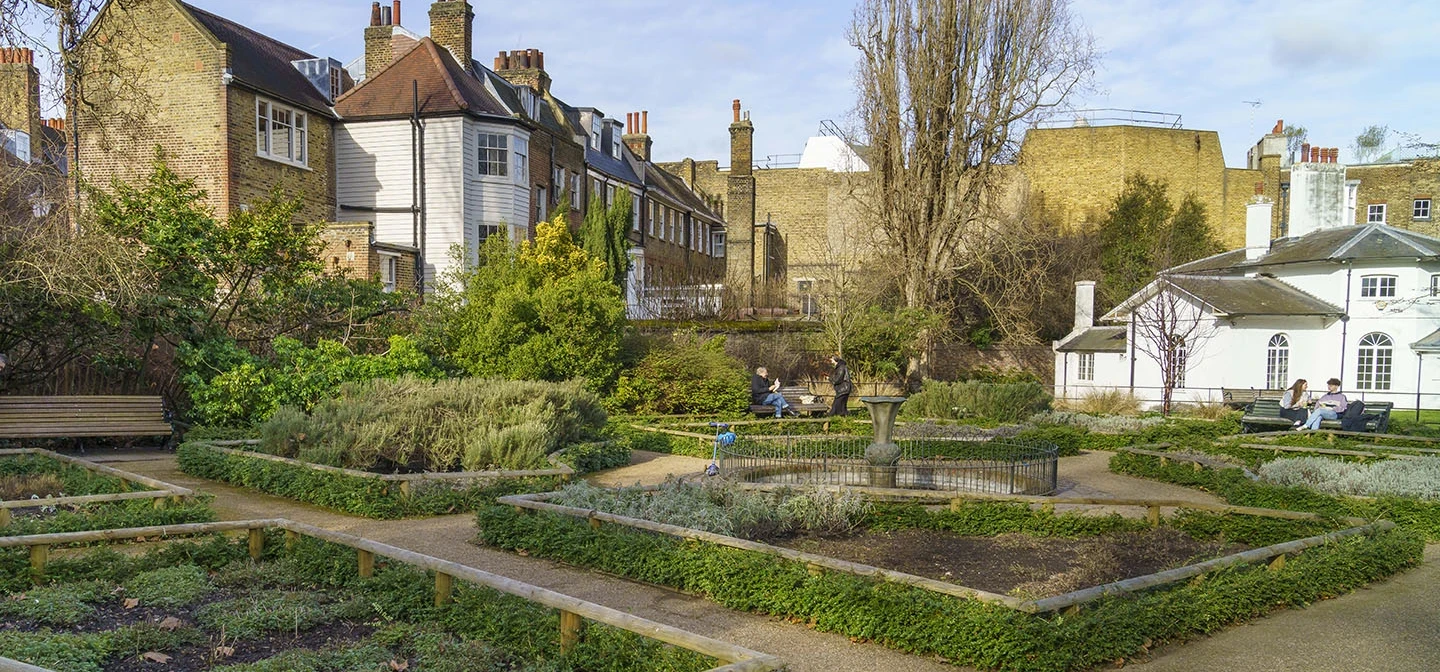 The herb garden in winter