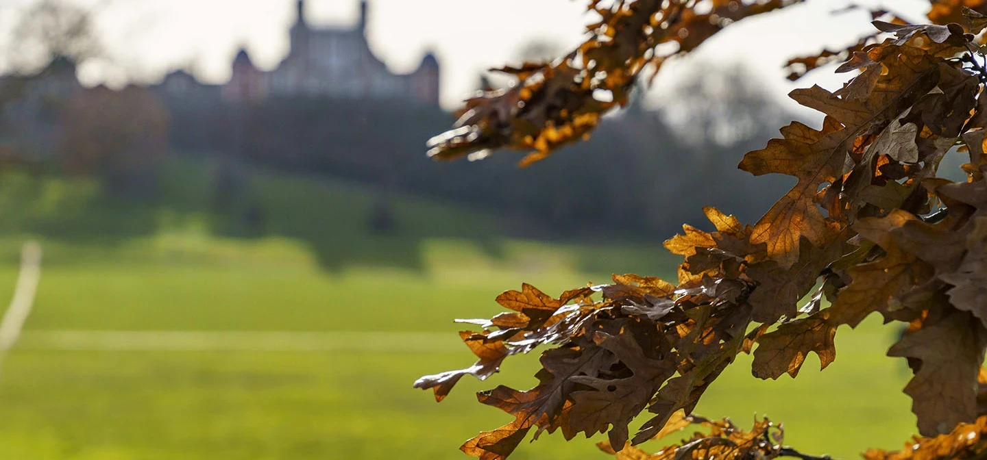 Golden autumn leaves with the Royal Observatory in the background