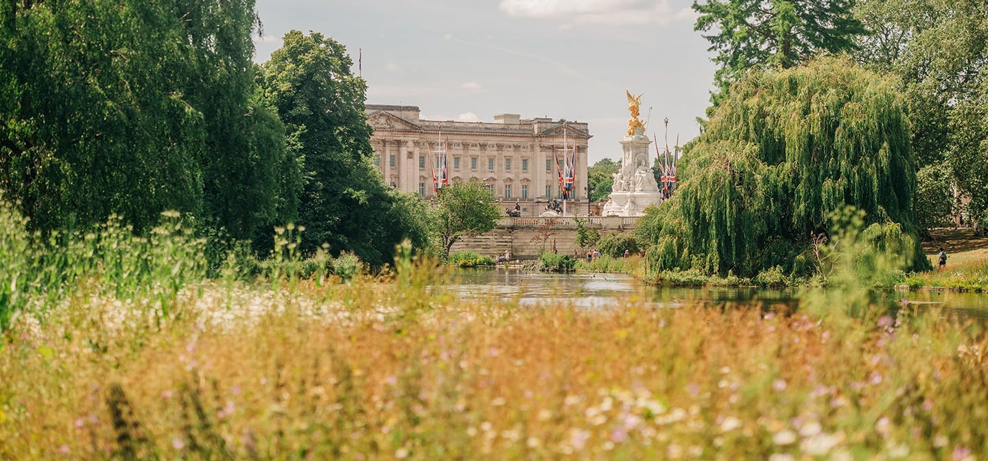 Buckingham Palace viewed from a wildflower meadow in St. James's Park