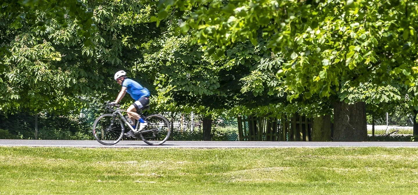 Road cyclist
