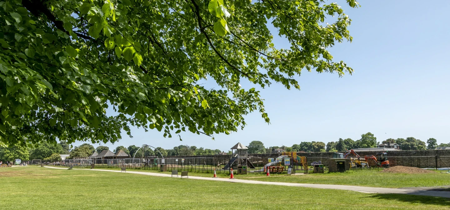 Bushy Playground Summer Hero