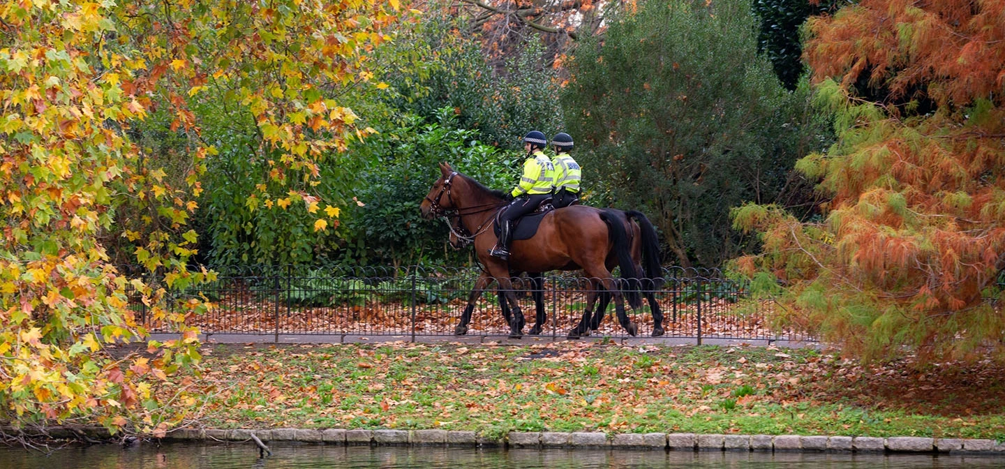 Two police officers on horseback