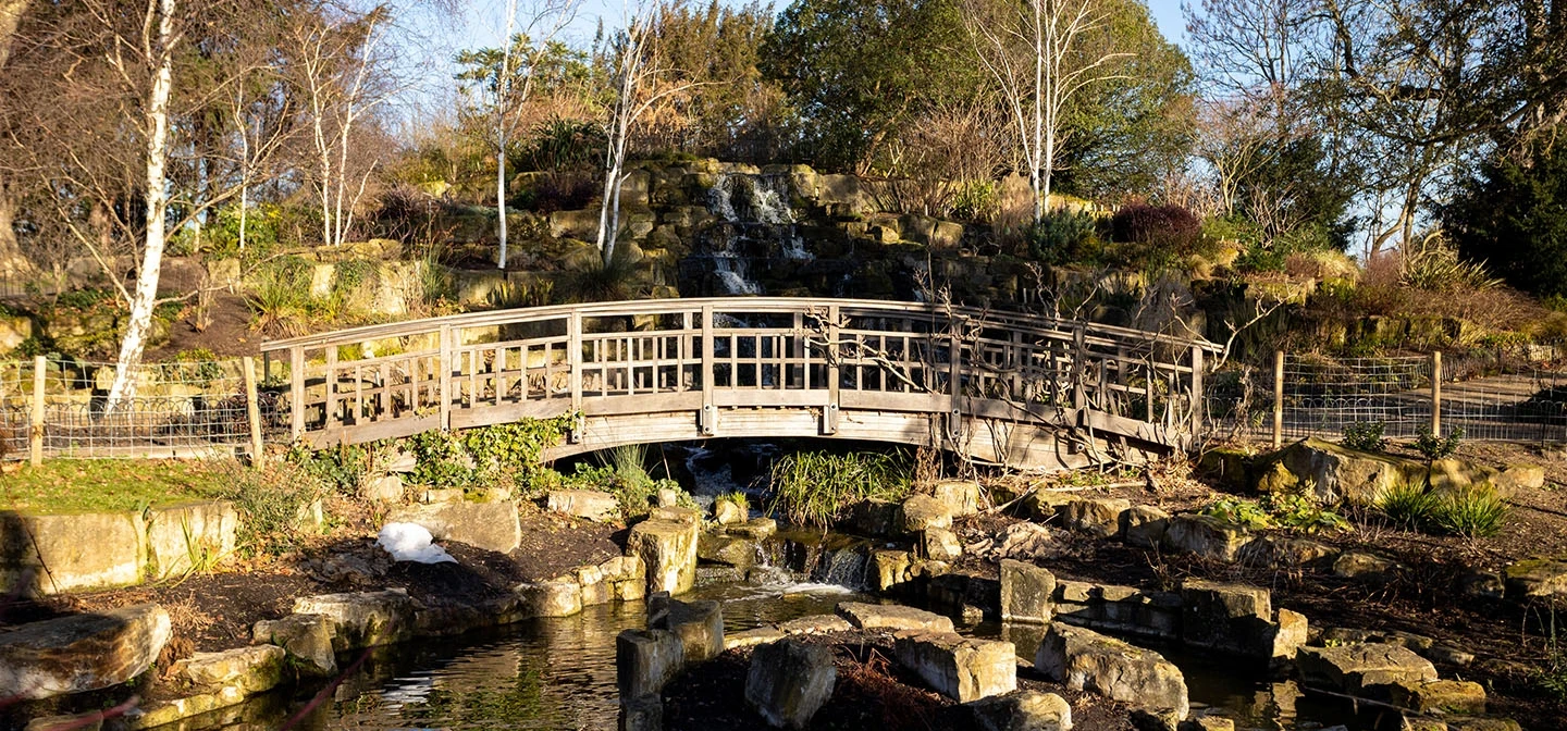 Wooden bridge over a stream at the Japanese Garden