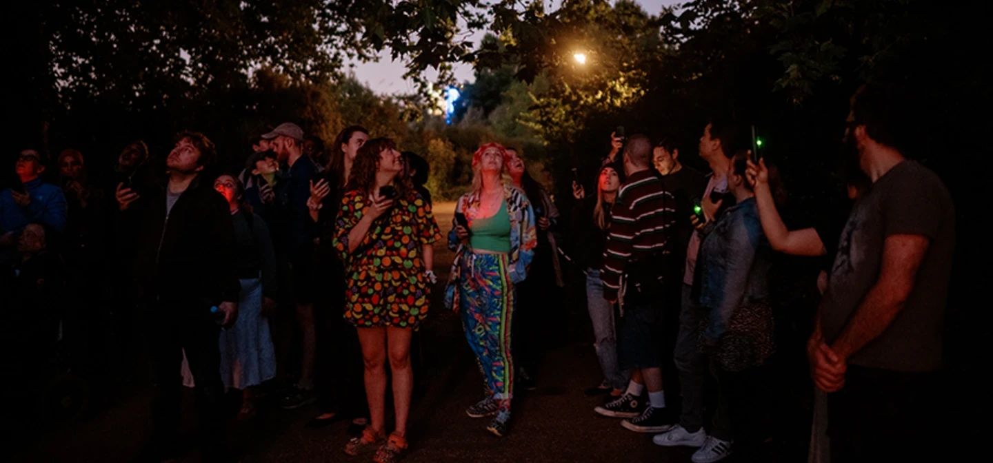 Visitors gather to spot bats