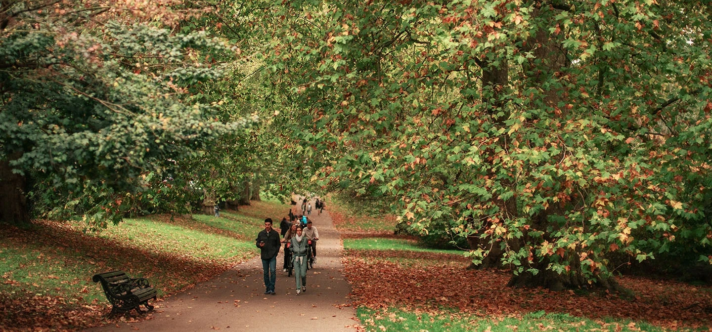 Walking among autumn leaves