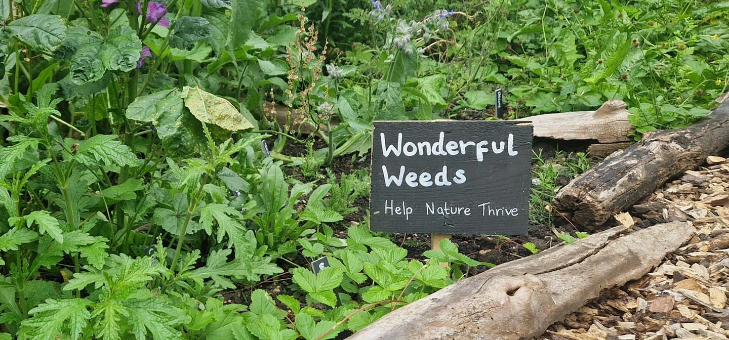 Wonderful Weeds sign for Help Nature Thrive