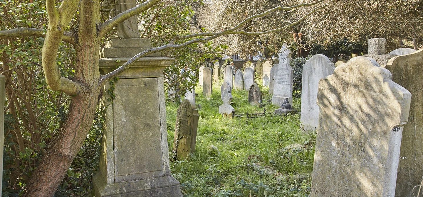 Gravestones under the trees