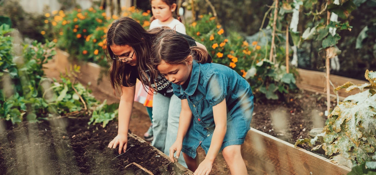 Children digging potatoes