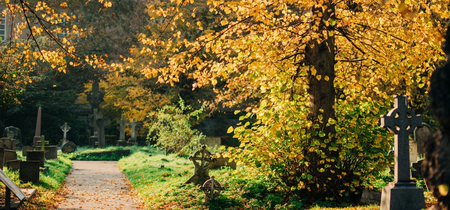 Brompton Cemetery in autumn