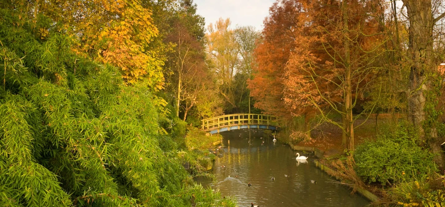 Autumnal trees in green orange and yellow and a waterway in the middle and a bridge crossing it. 