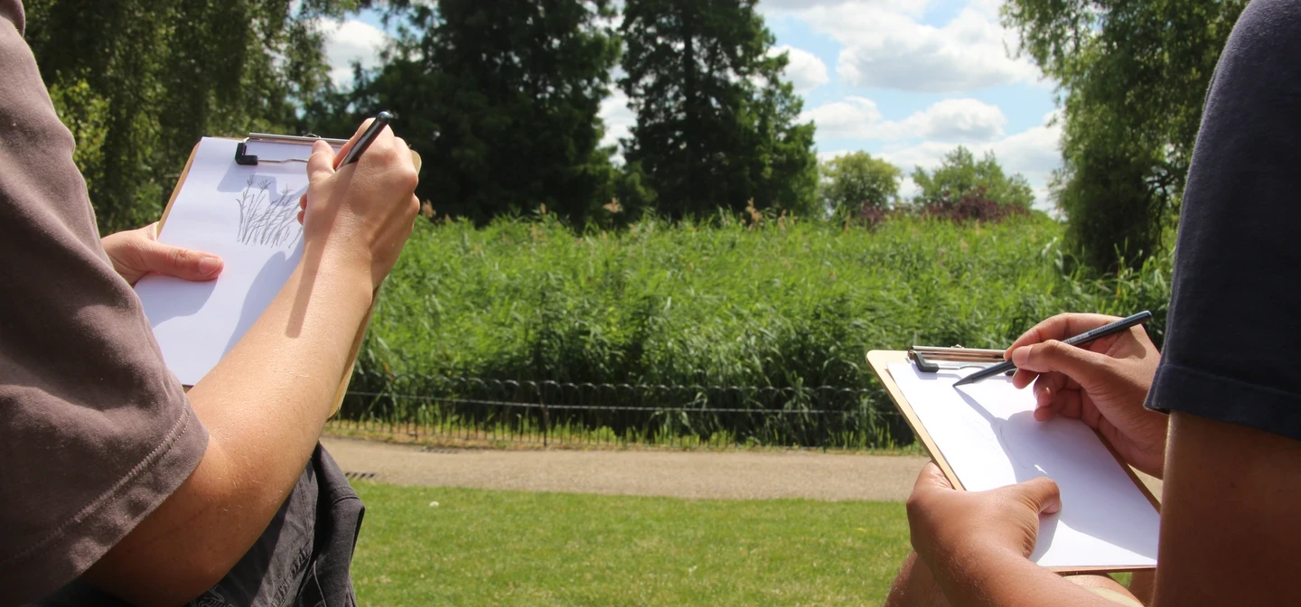 Two people sketching on clipboards with pencils on a sunny day in The Regent's Park