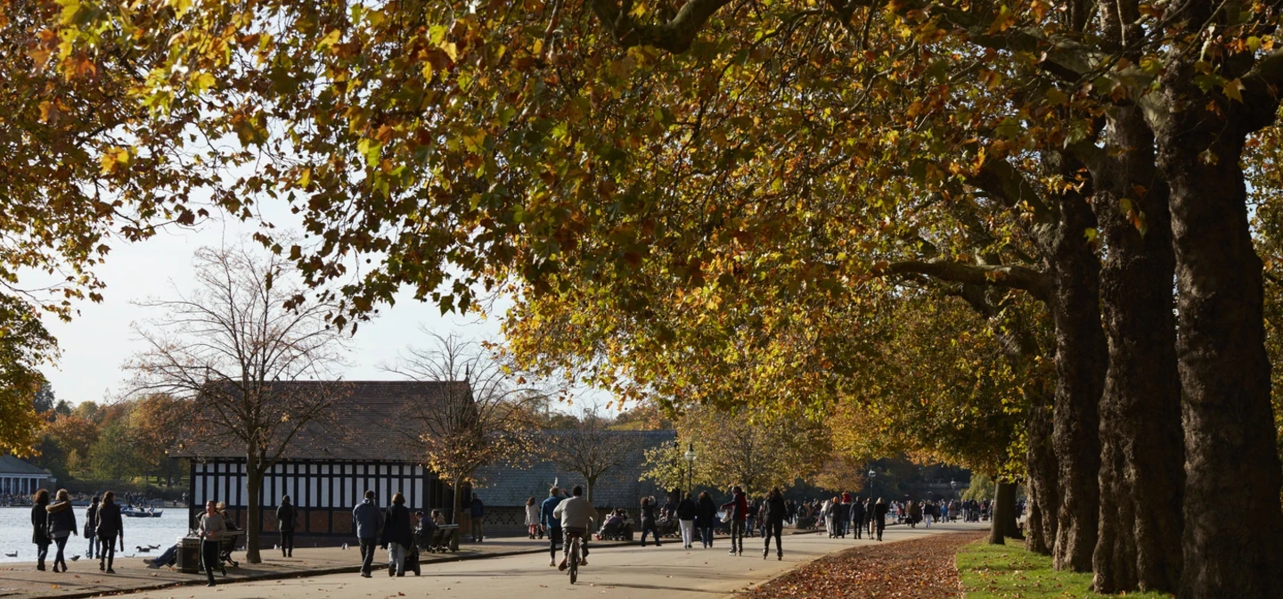 Autumn in Hyde Park