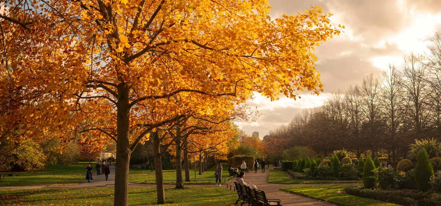 Autumn in The Regent's Park