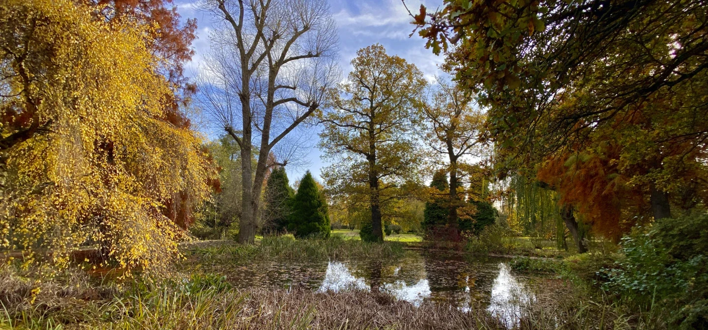 Autumn landscape with colorful trees in shades of yellow, orange, and green surrounding a still pond, reflecting the sky and branches.