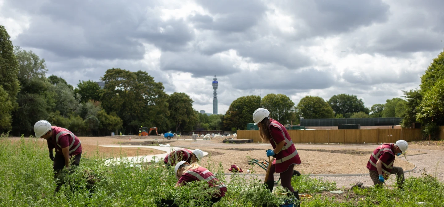 Volunteers with hi-vis jackets and hard hats digging and planting in the new garden in The Regent's Park