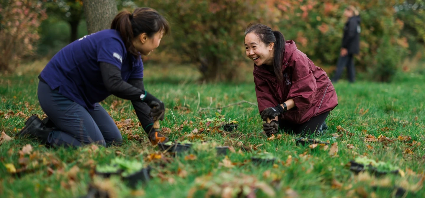 Two women planting bulbs and chatting