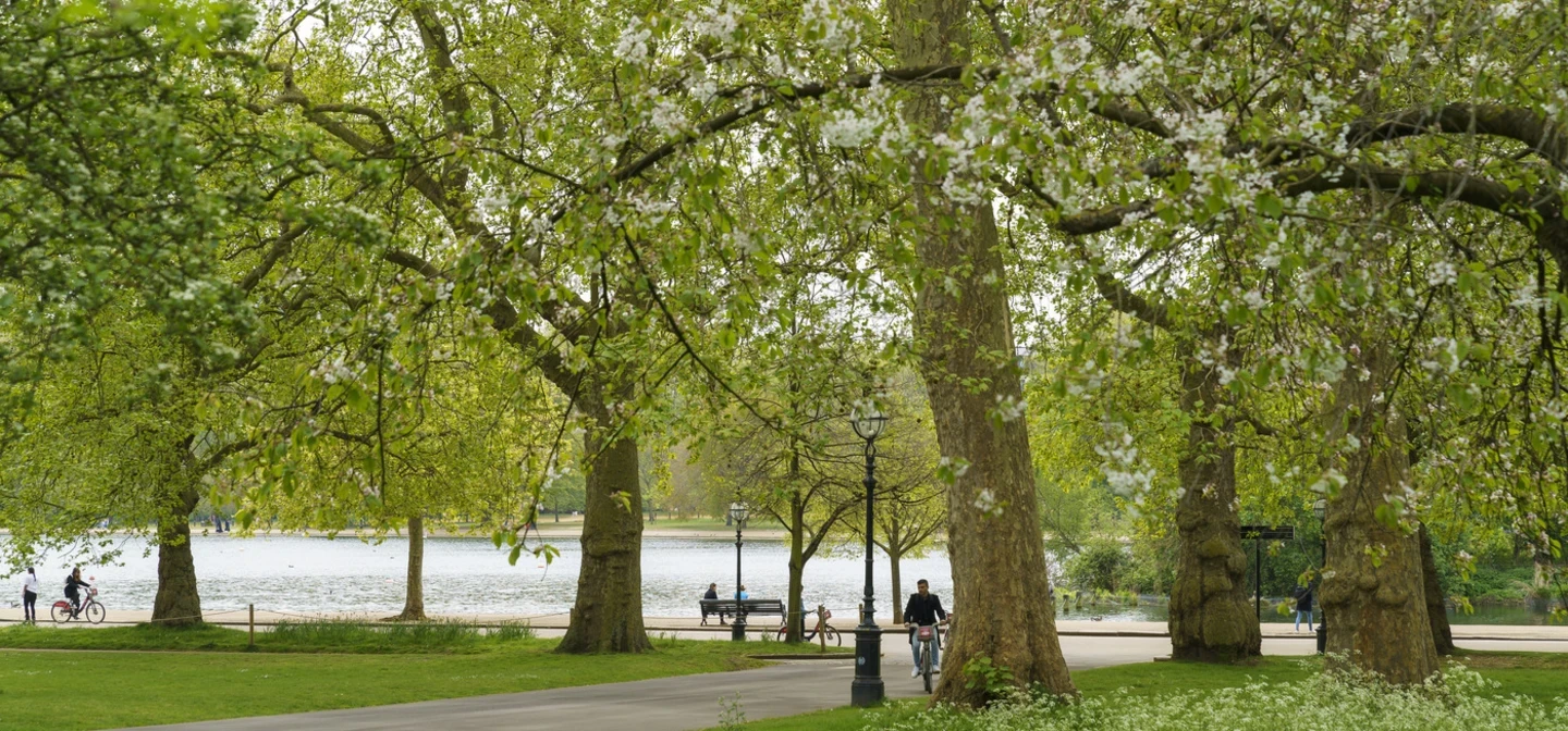 Spring in Hyde Park