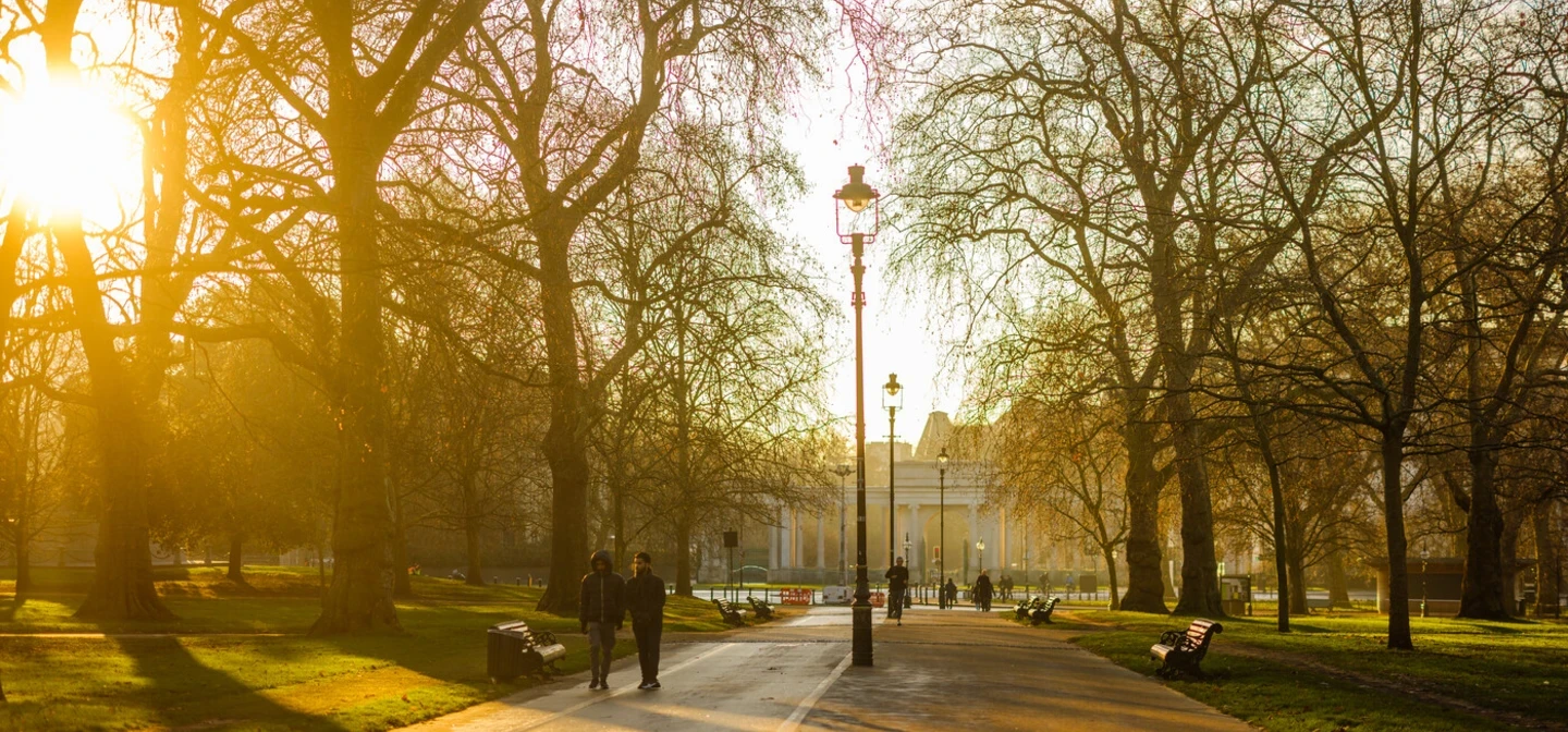 Hyde Park Broad Walk in winter