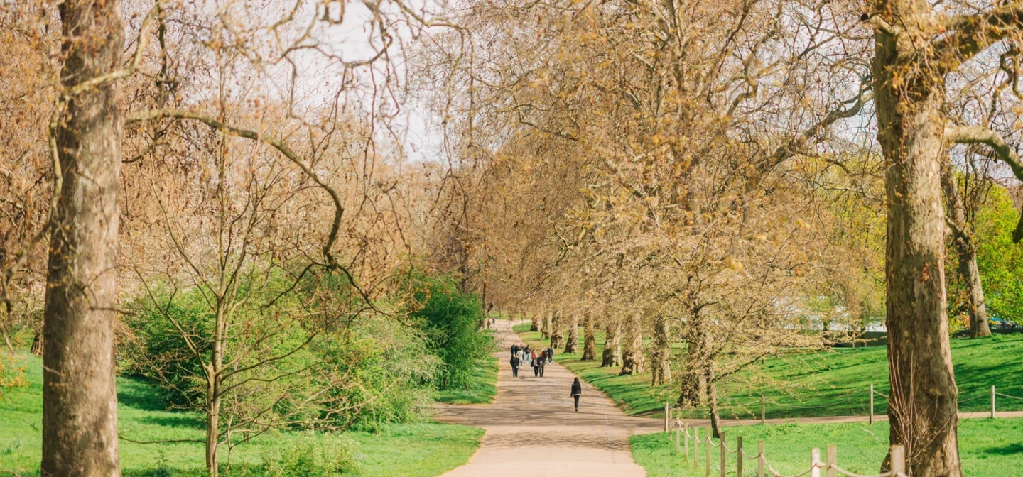 Spring in St. James's Park