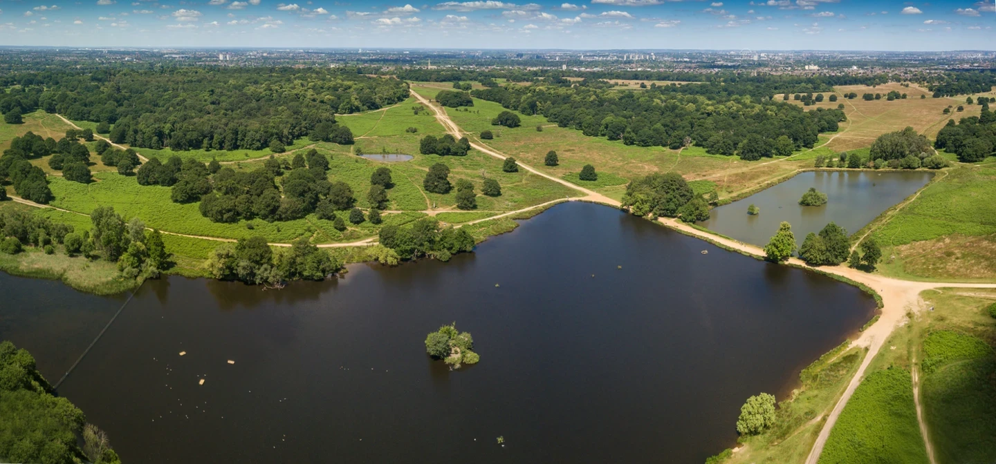 Panoarmic aerial view of Pen Ponds in Richmond Park