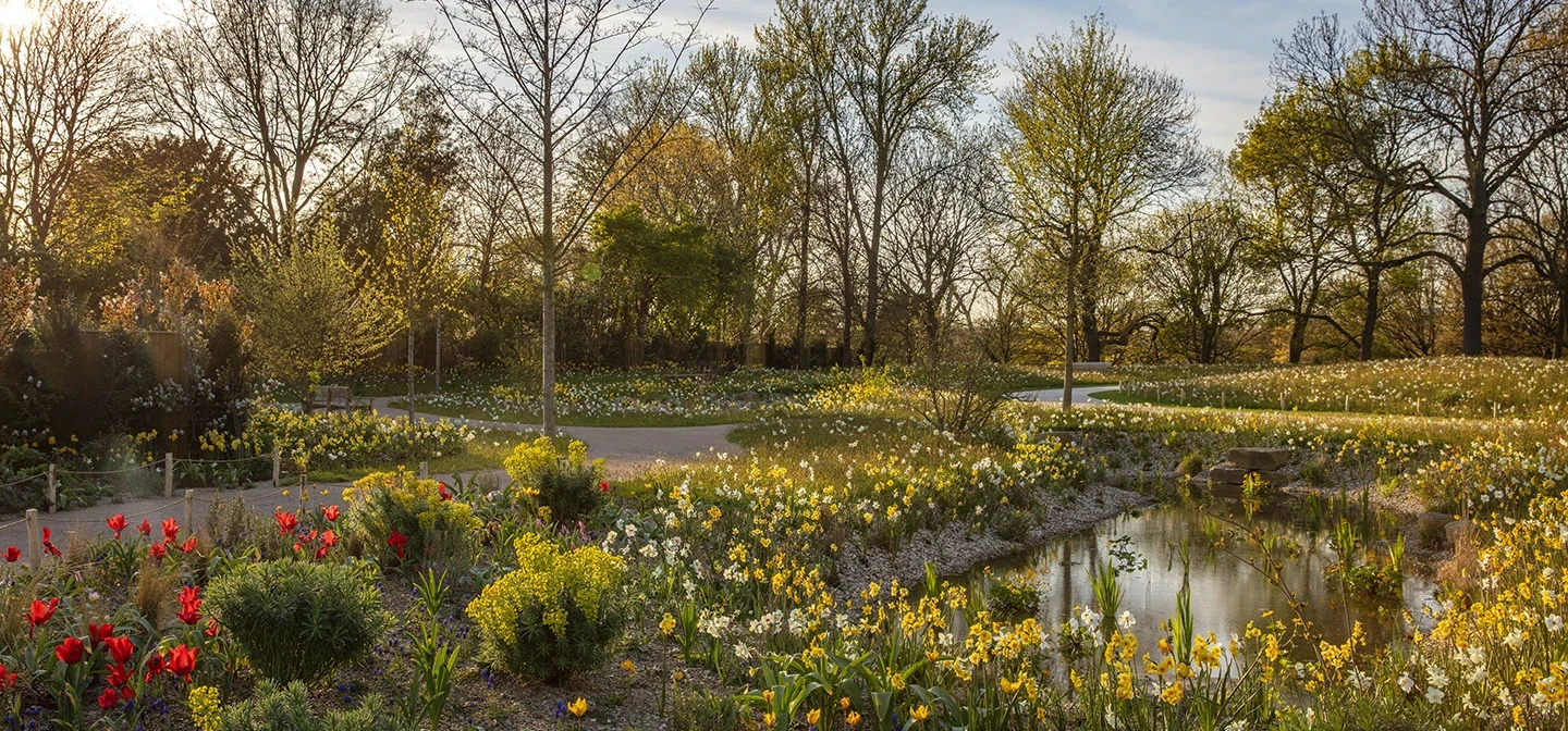 The Queen Elizabeth II Garden blooming in spring