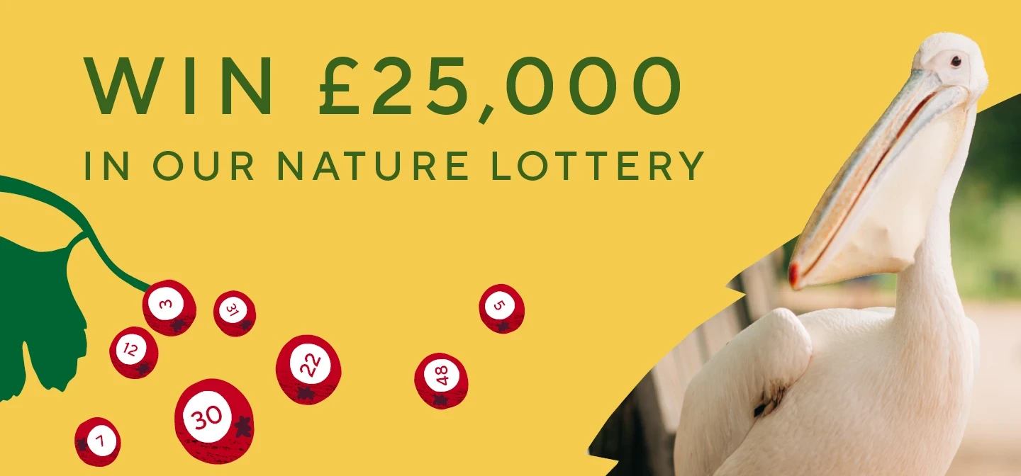 Nature Lottery promotional image
