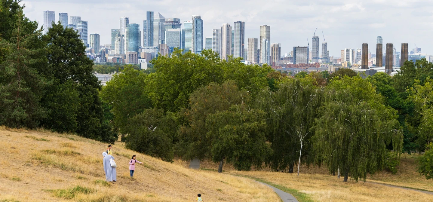 Dry conditions in the parks, with London skyline view in the background
