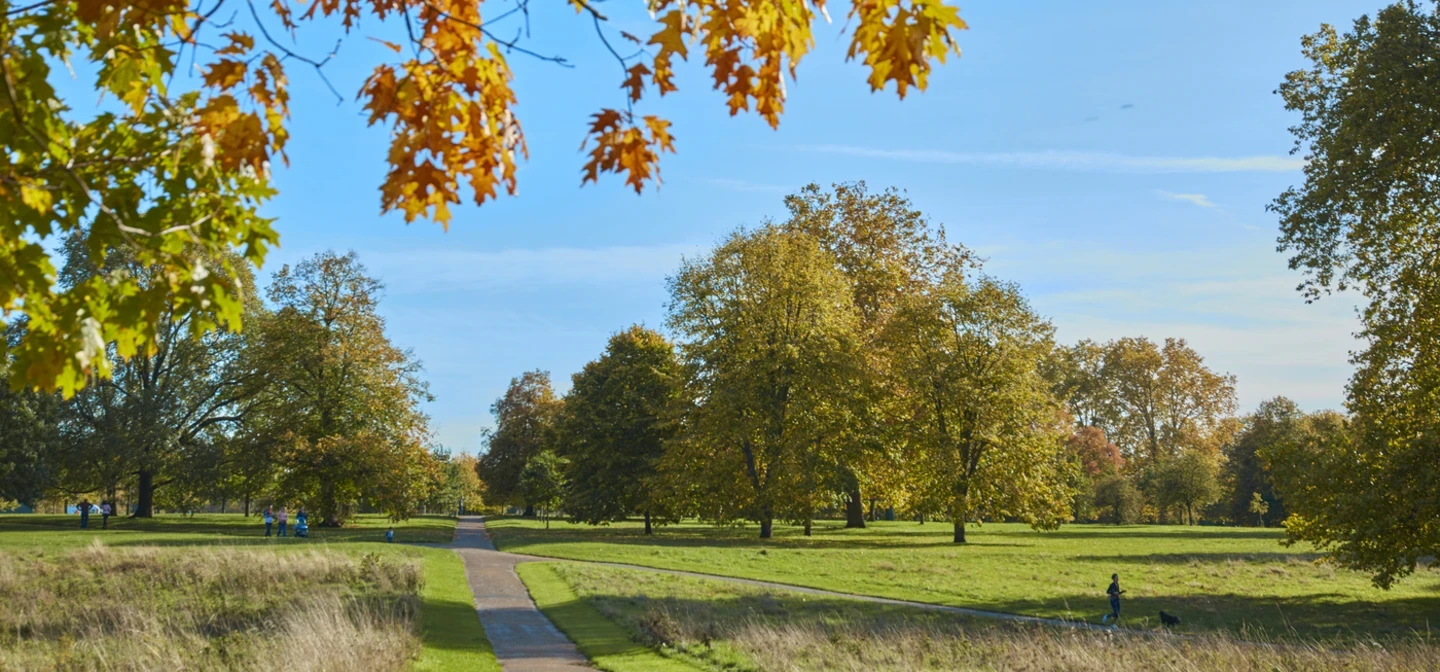 Kensington Gardens in autumn